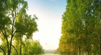 ارض مميزة للبيع في رجم عميش (1420م)