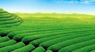 قطعة مميزة في الموقر / النقيرة تصلح للاستثمار