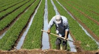 ارض في منطقة ناعور لببيع