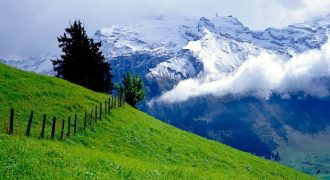 ارض للبيع في عبدون (981م)