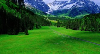 ارض زراعية في ياجوز / ام حليليفية للبيع (500م)