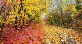 قطعة مميزة للبيع في  اراضي غرب عمان/وادي السير