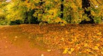 ارض مميزة في غرب عمان / عراق الامير  تصلح للاستثمار