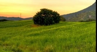 ارض في محافظة الزرقاء للبيع