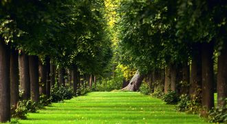 ارض مميزة في شرق عمان / ماركا  تصلح للاستثمار