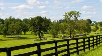 قطعة مميزة في جنوب عمان /القويسمة للبيع تصلح للاستثمار