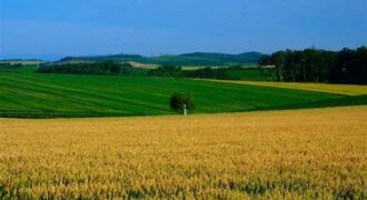 ارض مميزه للبيع في شمال عمان في منطقه ام زويتينه تصلح للاستثمار