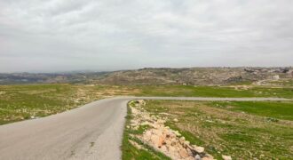 ارض مميزة للبيع في تلاع العلي ( 2 دونم)