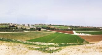 ارض مميزه  للبيع في الموقر / الذهيبه الغربيه    