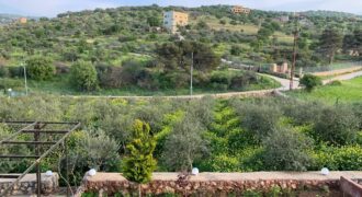 ارض مميزه للبيع في ناعور في منطقه العويليه تصلح للاستثمار