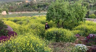 ارض مميزه للبيع في شمال عمان في منطقه مرج الاجرب تصلح للاستثمار